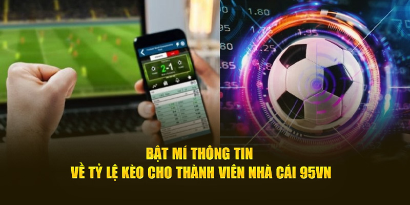 Bật Mí Thông Tin Về Tỷ Lệ Kèo Cho Thành Viên Nhà Cái 95VN